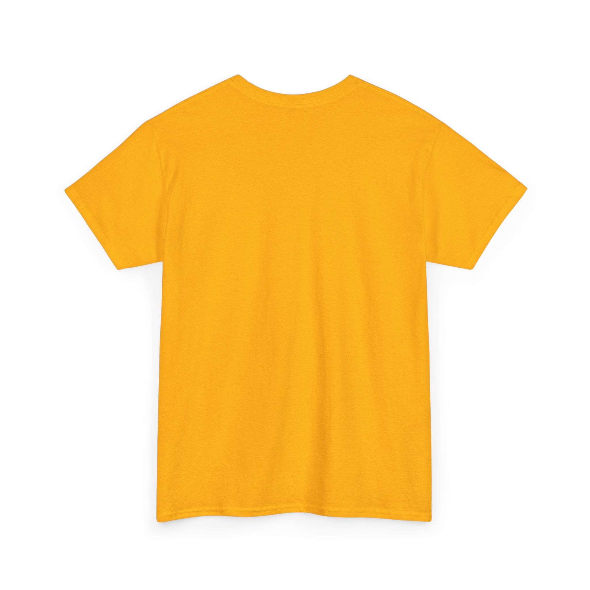 "DMV Thing" Unisex Heavy Cotton Tee, Perfect for DMV Lovers, Gifts for Friends, Casual Wear, Fun & Quirky T-Shirt, Everyday Style
